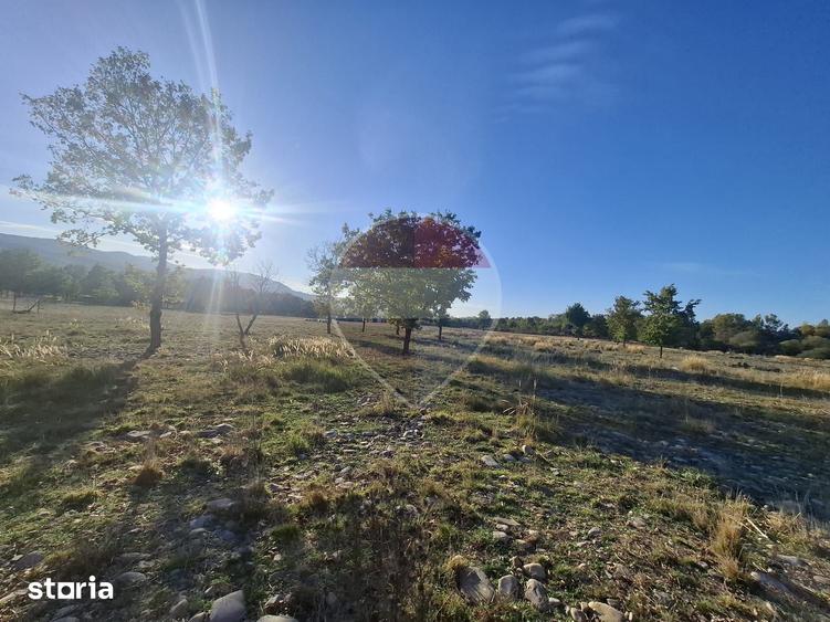 Teren de 51004 mp, în Săpânța