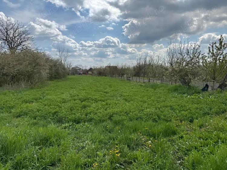 Teren de 1508 mp, în Dragșina