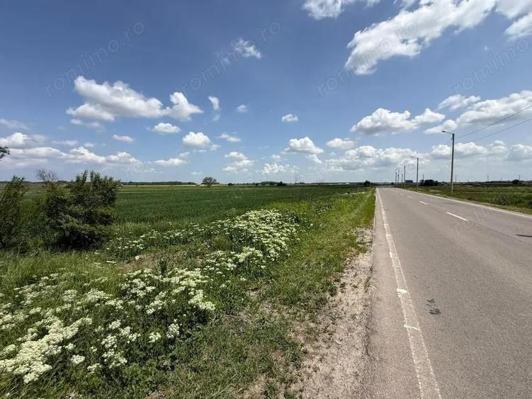 Teren de 3400 mp, în 1 Decembrie