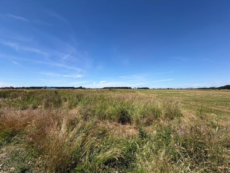 Teren agricol intravilan de 3550 mp, în Cârcea