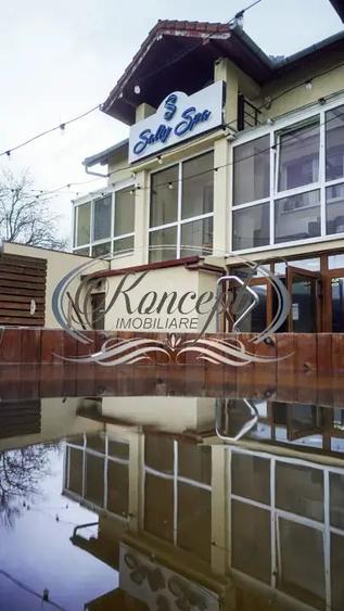 Spațiu comercial, de 500 mp, în Someșeni