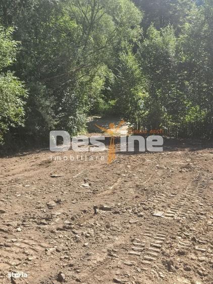 Teren Valea Doftanei, zona Pe Vale - Baraj Paltinu - 7