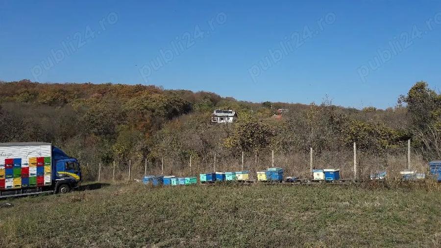Teren de 1500 mp, în Telița