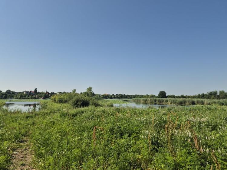 Teren Construcții intravilan de 2500 mp, în Izvorani
