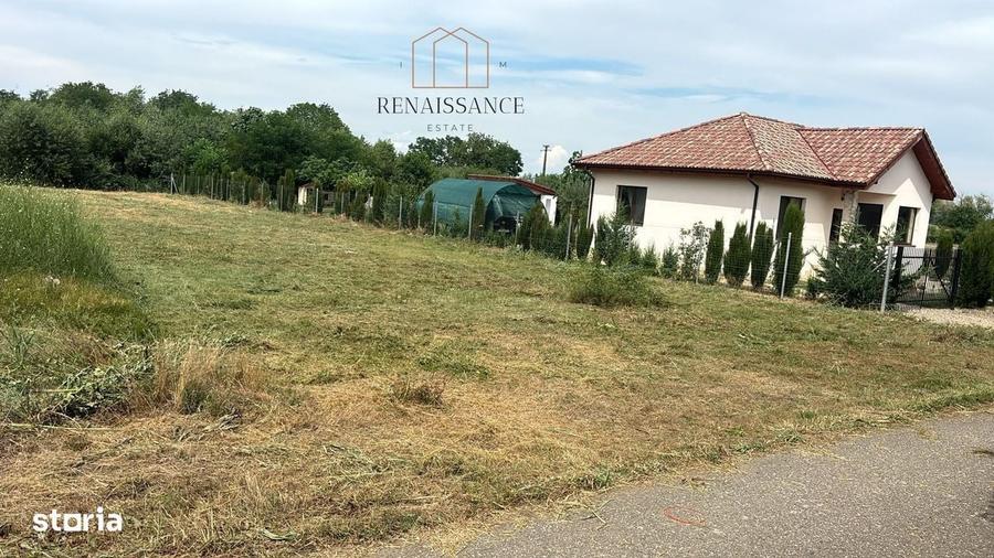 Spațiu comercial, în Călacea
