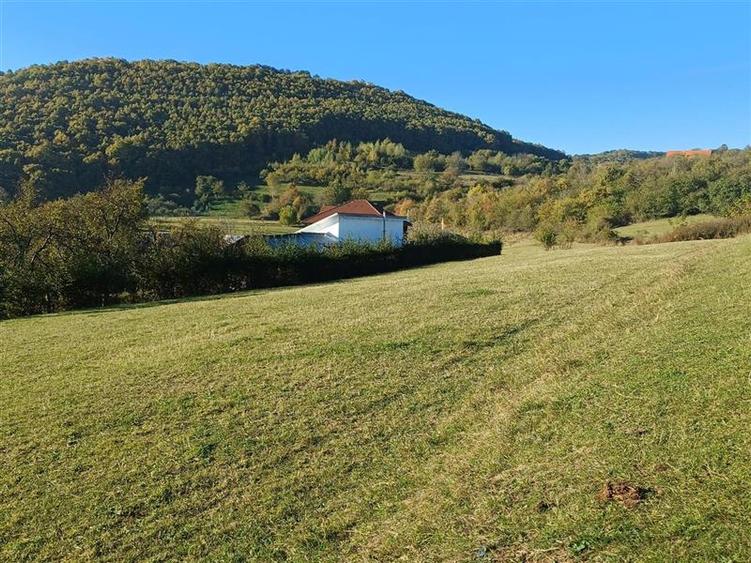 Teren agricol extravilan de 2455 mp, în Rășinari