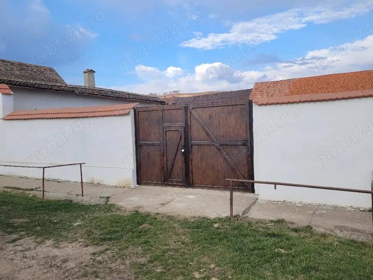 Teren de 7400 mp, în Jibert