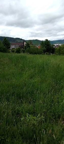 Teren de 1400 mp, în Central