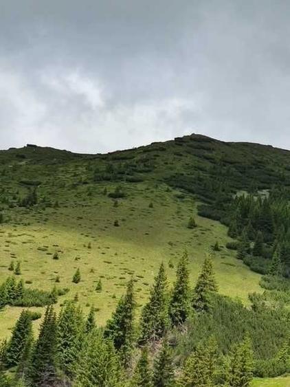 Teren de 1100000 mp, în Nucșoara