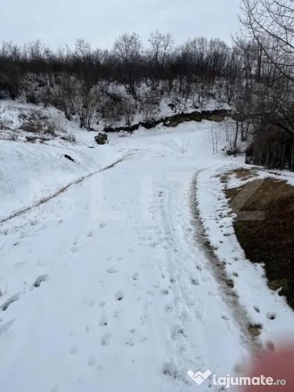 Teren în Vlădiceni