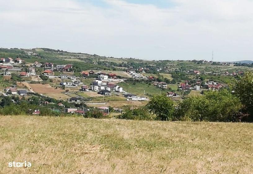 Spațiu comercial, în Săldăbagiu de Munte