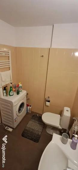 P.F inchiriez apartament 2 camere langa Iulius Mall. - 10