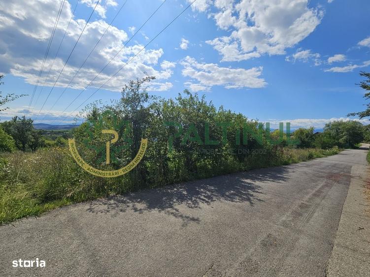 Spațiu comercial, în Câineni