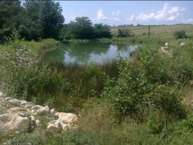 Teren de 80000 mp, în Susani