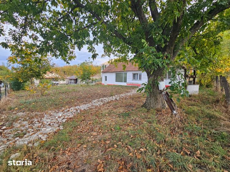 Casă cu 2 camere cu Teren 472 Mp în Vețel