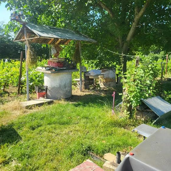 Casă cu 3 camere cu Teren 2000 Mp în Albina