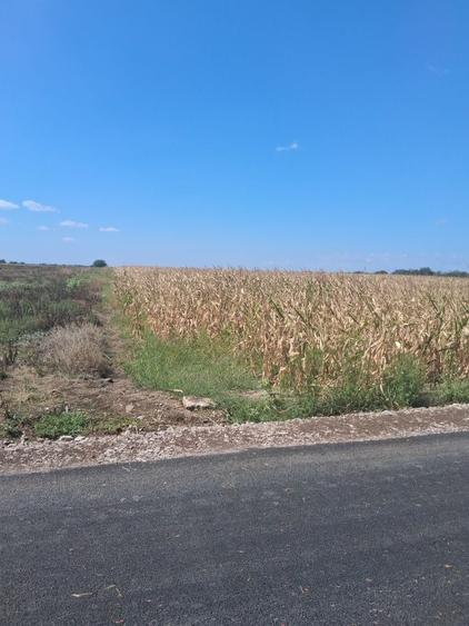 Teren de 3750 mp, în Periș