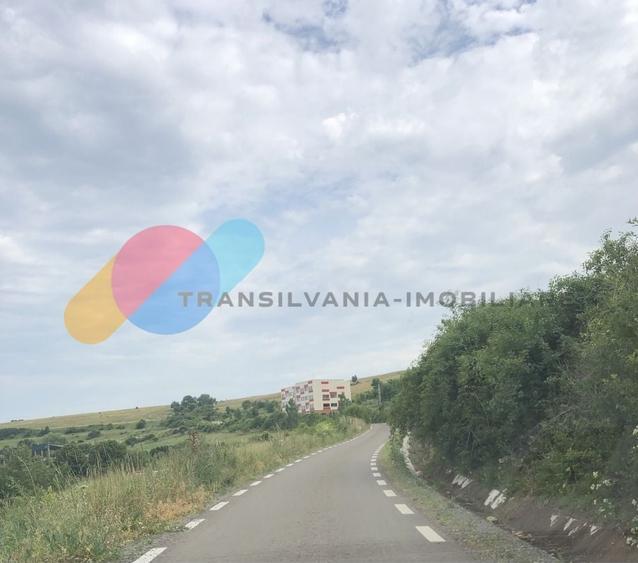 Teren Construcții intravilan de 3000 mp, în Rădaia