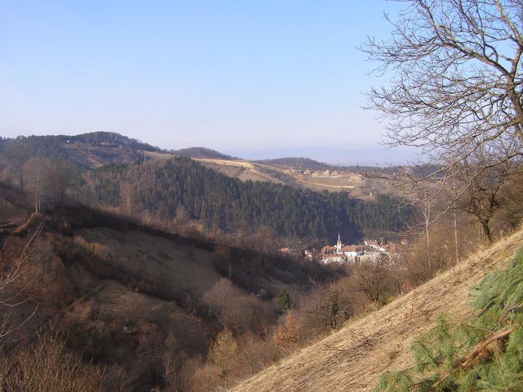Spațiu comercial, în Drumul Carului
