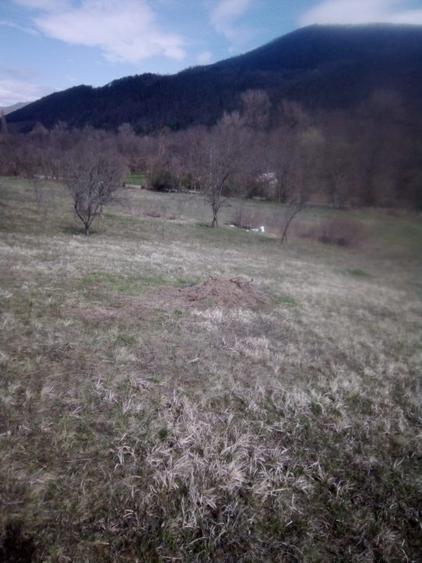 Teren agricol extravilan de 27500 mp, în Geoagiu-Băi