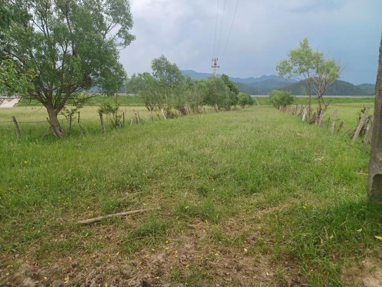 Teren Construcții intravilan de 10500 mp, în Exterior Nord