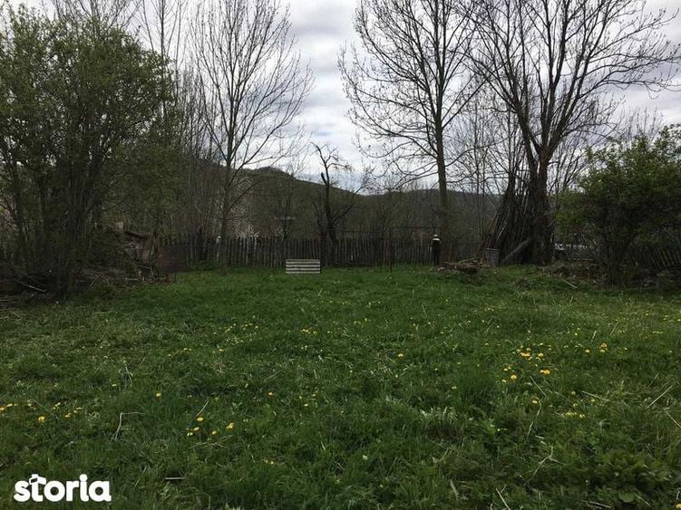 TEREN intravilan 1261mp Lelese - 2
