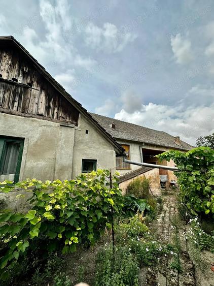 Casă cu 6 camere cu Teren 4300 Mp în Otelec