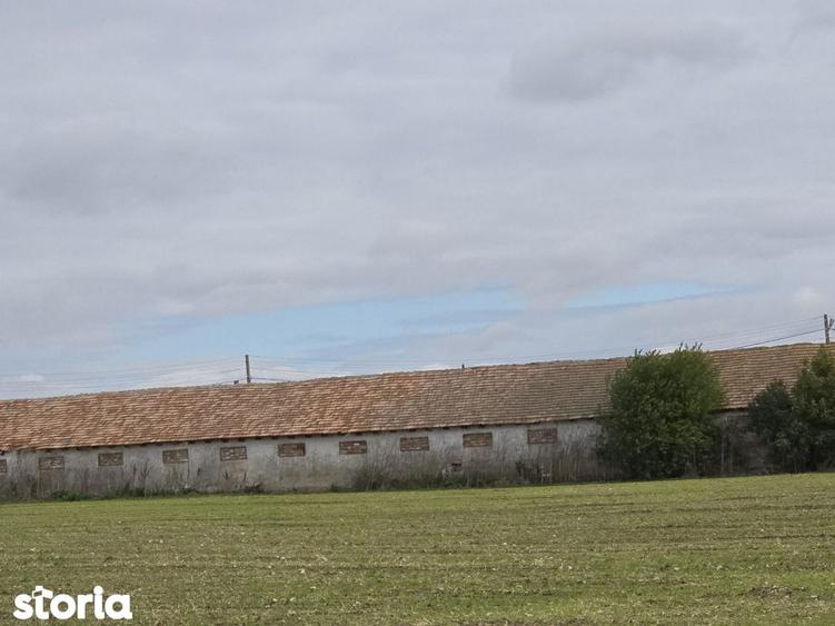 Comuna Amzacea- sat G.Scari?oreanu -Ferma zootehnica , teren 5,1ha - 12