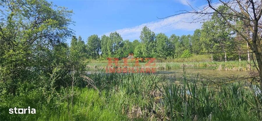 Teren de 295000 mp, în Stoenești