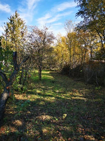 Casă individuală cu 2 camere cu Teren 2500 Mp în Gruiu