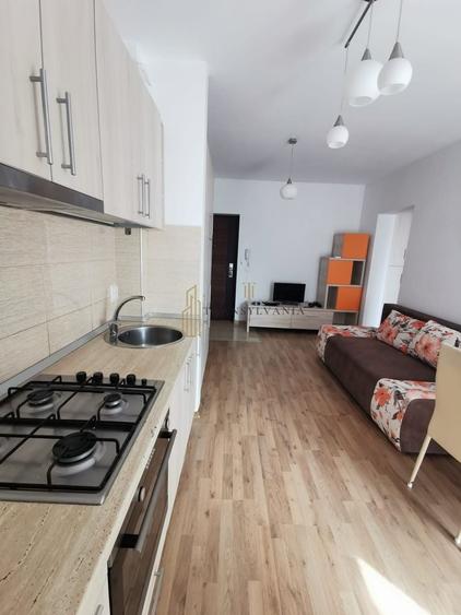 Apartament 2 camere de închiriat pe strada Ogorului - 3