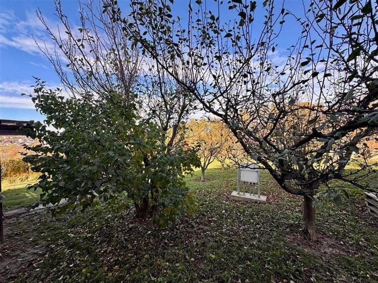 Casă individuală cu 3 camere cu Teren 4000 Mp în Bârnova