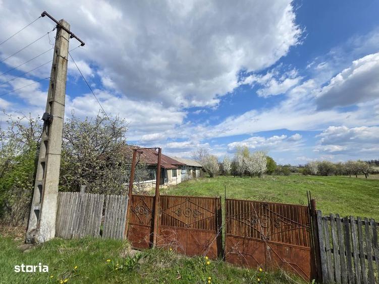 Casă cu 3 camere cu Teren 20000 Mp în Leleasca