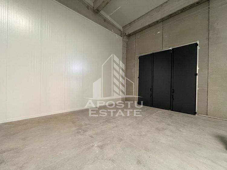 Spațiu industrial, de 523 mp, în Sânandrei