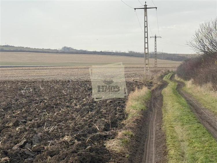 Teren agricol extravilan de 20300 mp, în Șura Mică