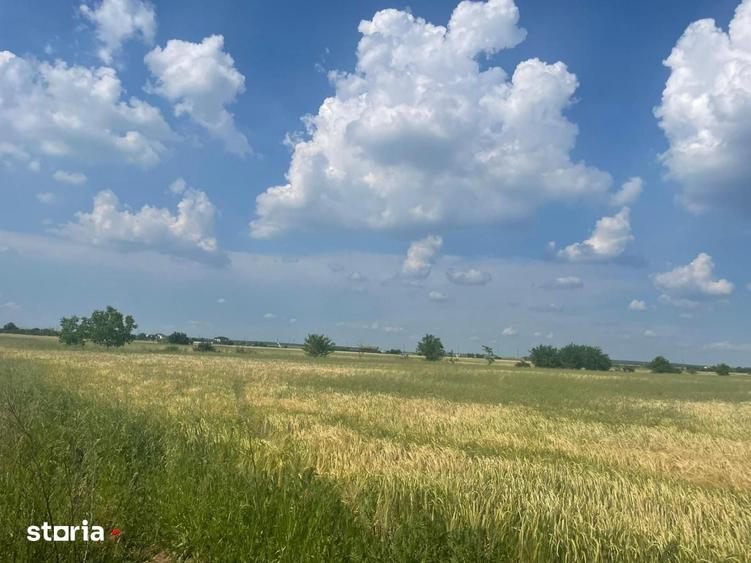 Teren de 954 mp, în Fundeni
