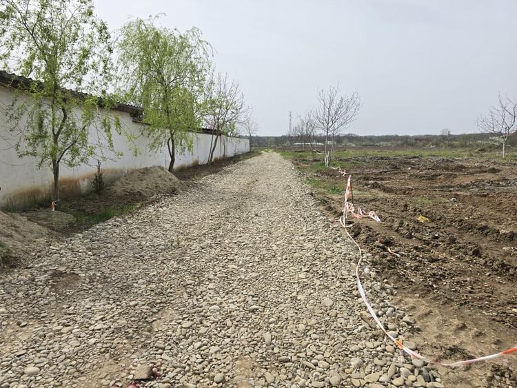 Teren Construcții intravilan de 4783 mp, în Ciolpani