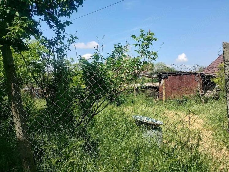 Teren de 1820 mp, în Rasova