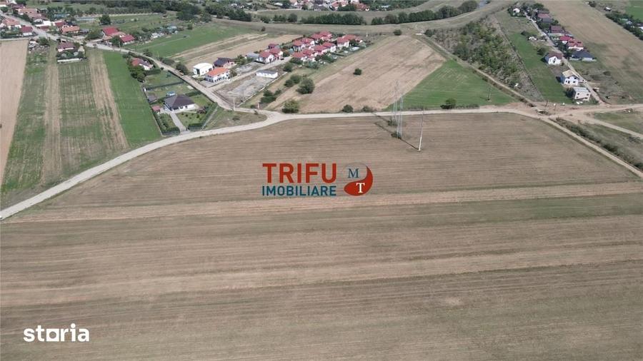 Teren de 2350 mp, în Bărăbanț