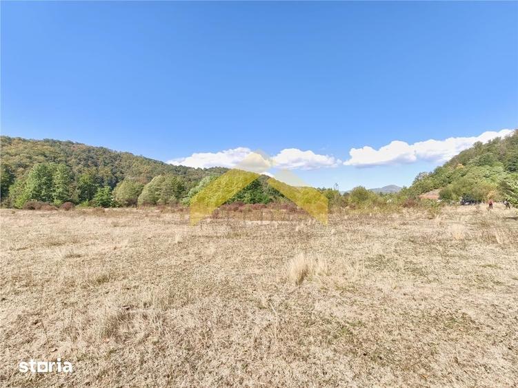 Teren de 20574 mp, în Petriș
