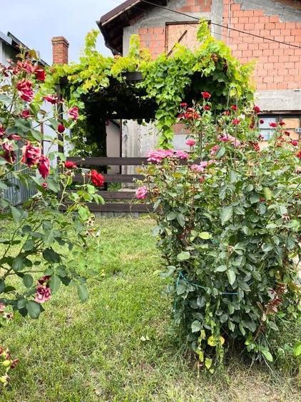 Casă cu 2 camere cu Teren 690 Mp în Bâldana