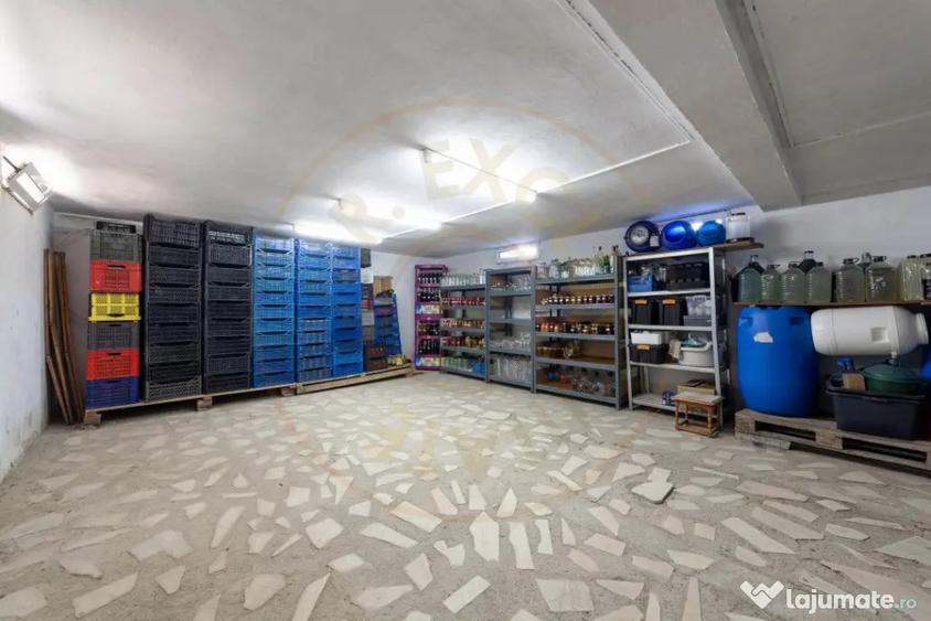 Casă cu 7 camere cu Teren 5000 Mp în Dârmănești