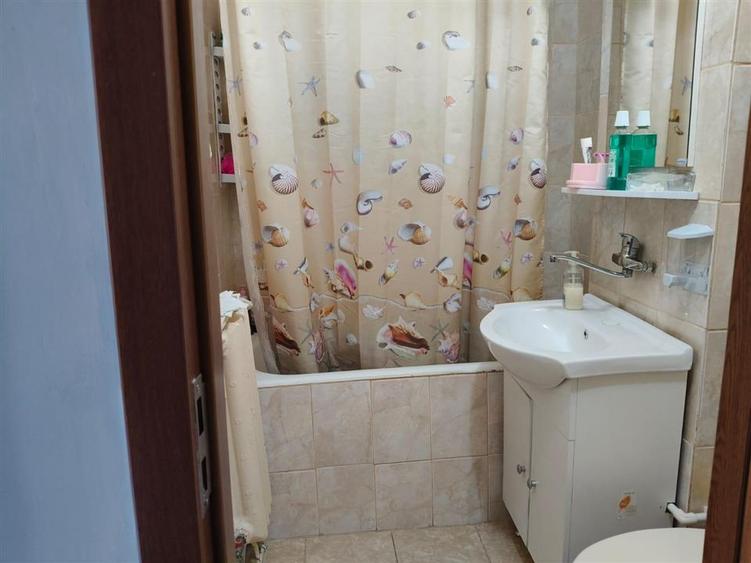 Apartament cu 2 camere semidecomandat, mobilat în Viziru 3