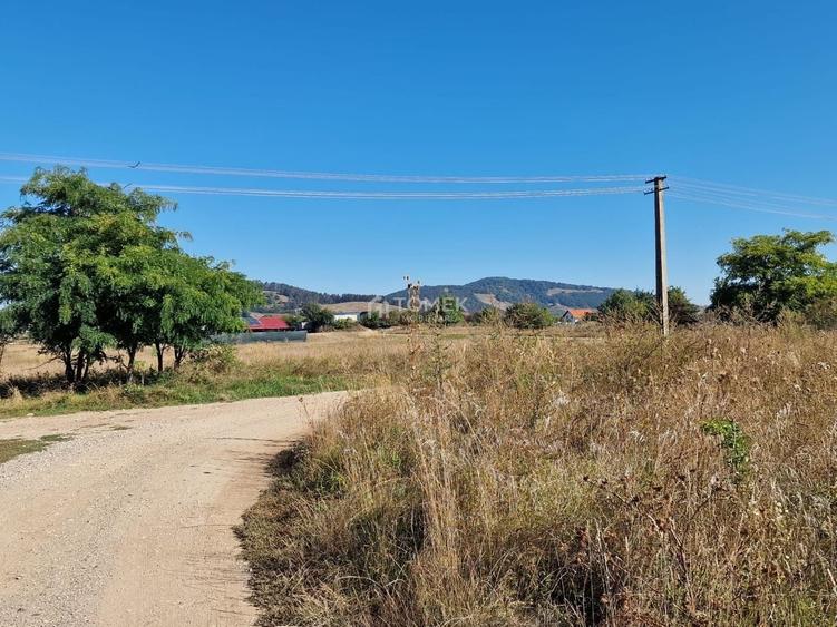 Teren Construcții intravilan de 4510 mp, în Sânpetru