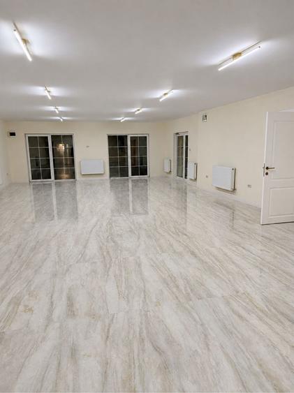 Spațiu comercial, de 185 mp, în Ultracentral