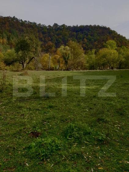 Teren Construcții extravilan de 1400 mp, în Groș