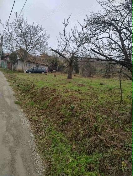 Teren de 3989 mp, în Podgoria