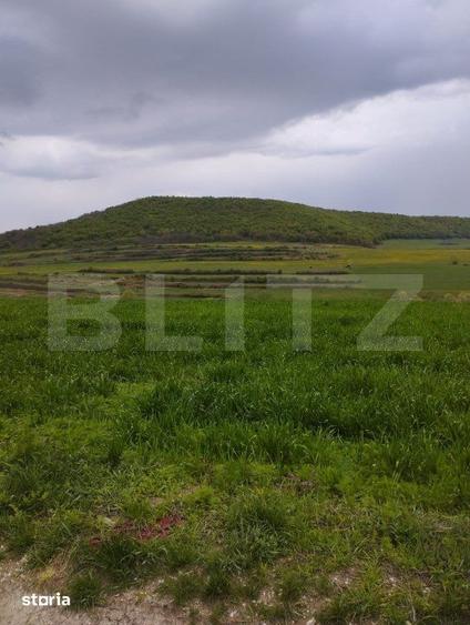 Teren de 3621 mp, în Petrești