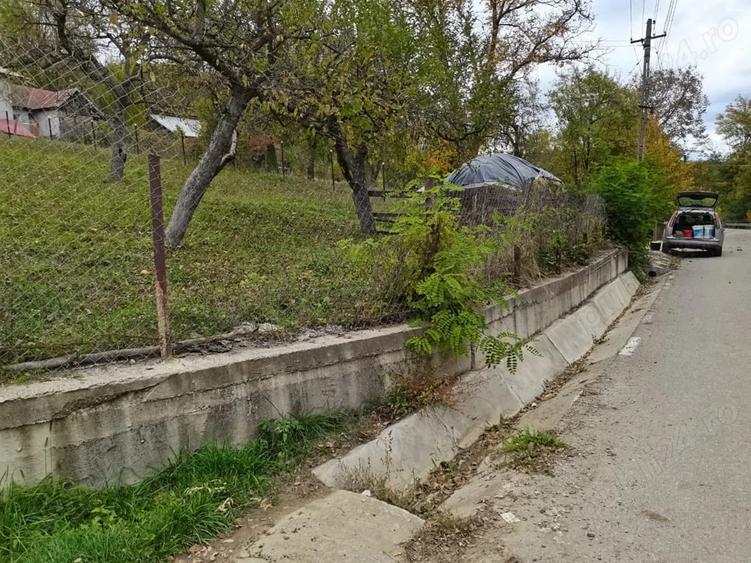 Teren de 1600 mp, în Provița de Sus