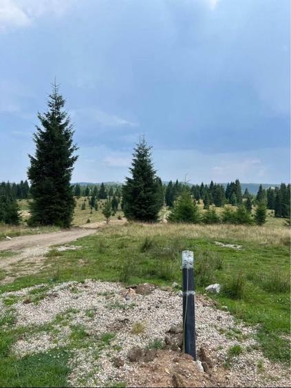 Teren de 2300 mp, în Beliș
